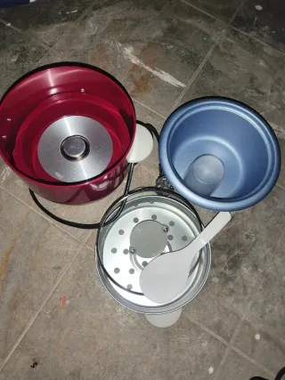 Oster Arrocera Eléctrica con Vapor