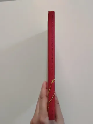 3x2 Animales Fantásticos y Dónde Encontarlos