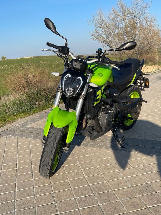 Benelli 302 S Verde