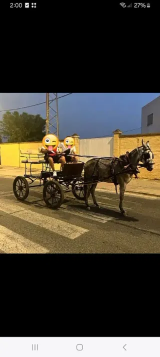 Carro de caballos