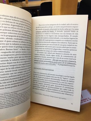 La destrucción de la ciudad el mundo urbano en ...
