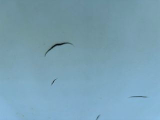 Reparación piscina fibra grietas