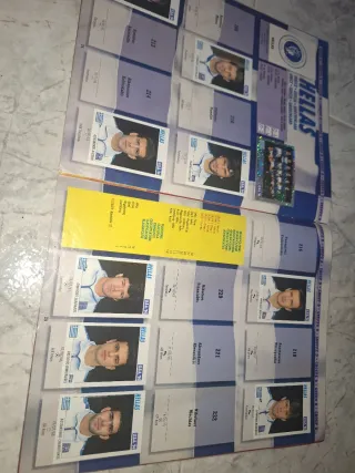 Álbum Panini Mundial USA '94