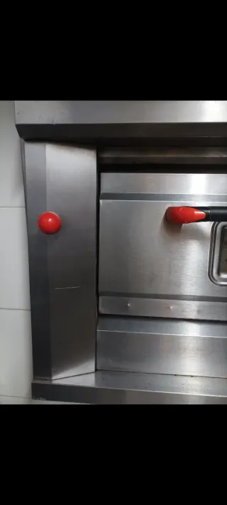 Horno Industrial Pizza Gas y otro electrico