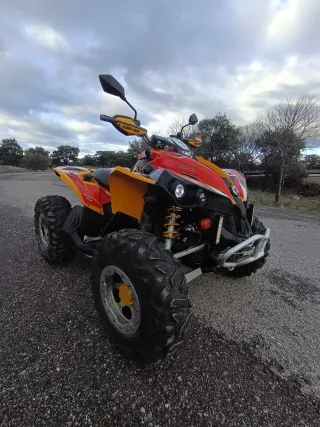 Can-am Renegade 800