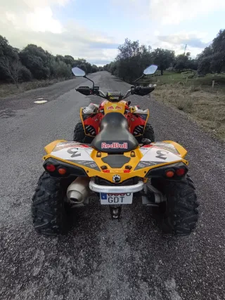 Can-am Renegade 800