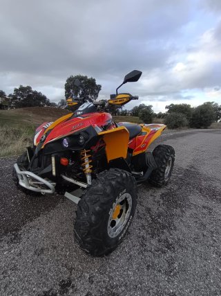 Can-am Renegade 800