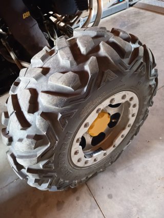 Can-am Renegade 800