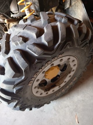 Can-am Renegade 800