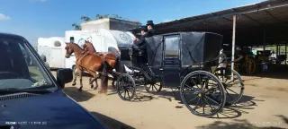 alquiler de coche caballo bodas  Sevilla