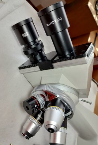 Microscopio óptico con 4 objetivos Nikon