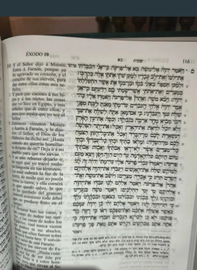 Biblia Tanaj Español Hebreo