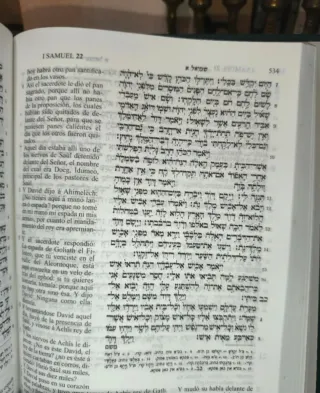 Biblia Tanaj Español Hebreo