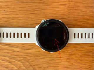 Reloj Garmin Forerunner 55 Blanco