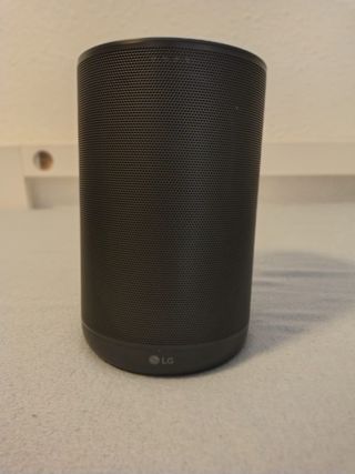 Altavoz Inteligente LG Gris