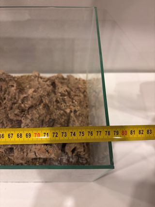 Terrario de cristal con troncos