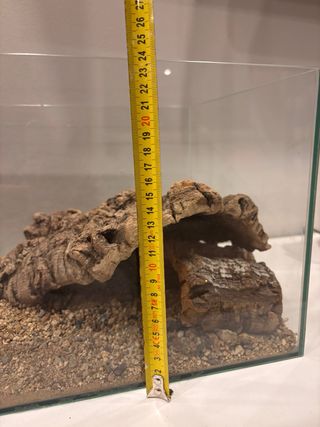 Terrario de cristal con troncos