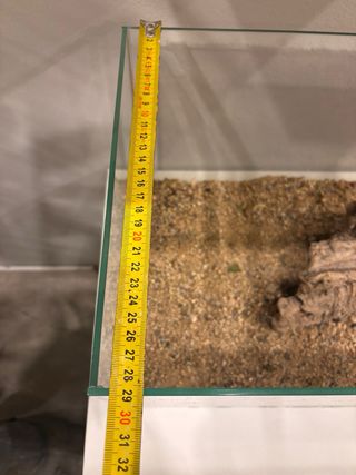 Terrario de cristal con troncos