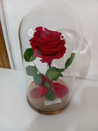 Rosa Preservada "Bella y Bestia" Edición Limitada