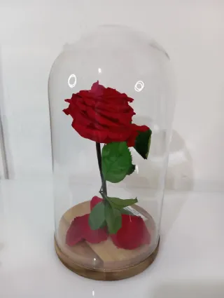 Rosa Preservada "Bella y Bestia" Edición Limitada
