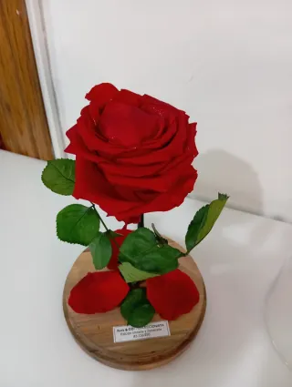 Rosa Preservada "Bella y Bestia" Edición Limitada