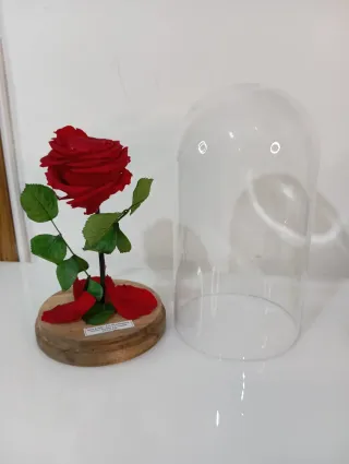 Rosa Preservada "Bella y Bestia" Edición Limitada
