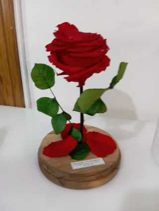 Rosa Preservada "Bella y Bestia" Edición Limitada