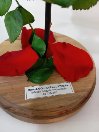 Rosa Preservada "Bella y Bestia" Edición Limitada
