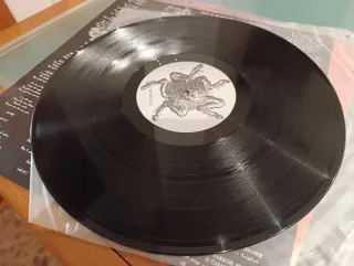 Morbid Angel Blessed are the sick vinilo