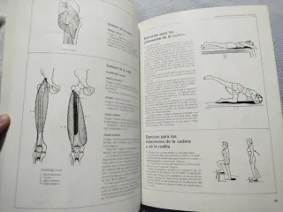Fisioterapia ejercicios correctivos