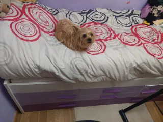 Cama doble con cajones y puertas