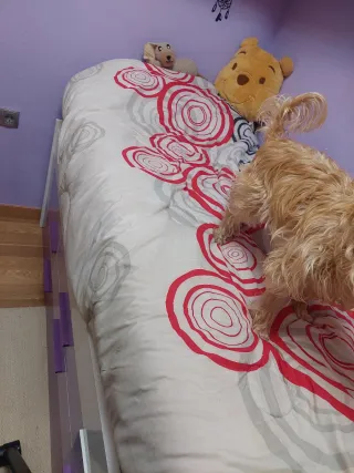 Cama doble con cajones y puertas