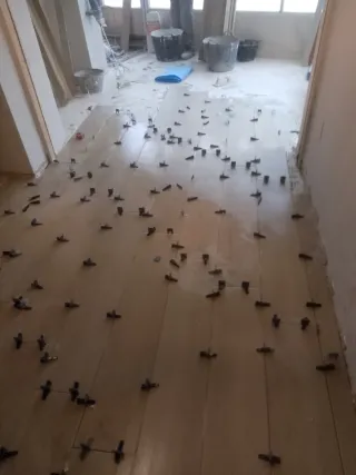 Servicios de reforma y construcción