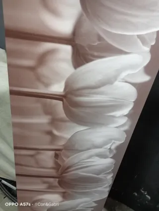 Cuadro de tulipanes blancos y grises