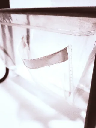 Portariviste anni '80