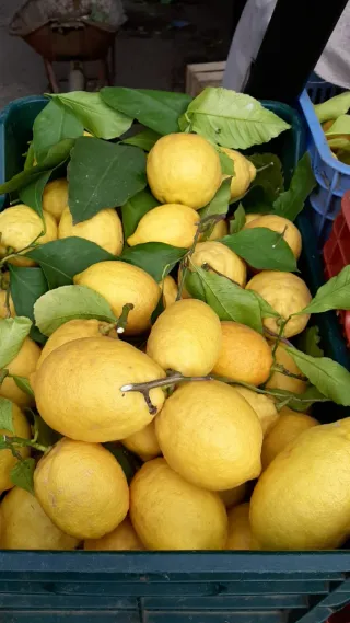Limoni biologici freschi