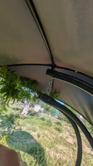 Tumbona Colgante Exterior Gris