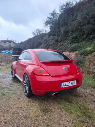 Volkswagen Beetle 2013