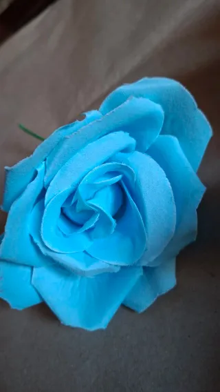 Flores Flamenca Variadas