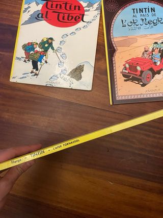 Lote de libros Tintin en Catalán