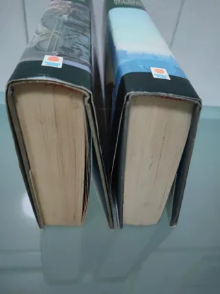 Libros 3 y 4 de Añoranzas y pesares