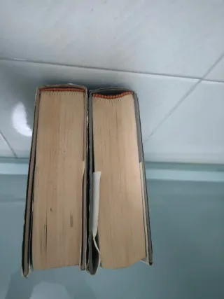 Libros 3 y 4 de Añoranzas y pesares