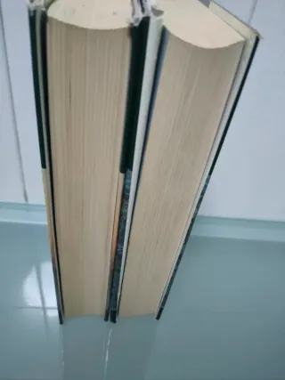 Libros 3 y 4 de Añoranzas y pesares