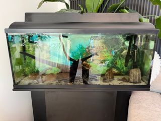Acuario 150L con mueble y accesorios