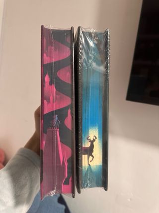 La espada de la asesina (EDICIÓN LIMITADA)