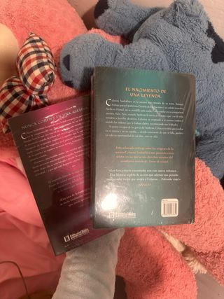 La espada de la asesina (EDICIÓN LIMITADA)