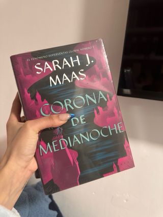 La espada de la asesina (EDICIÓN LIMITADA)