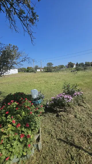 VENDO PARCELA DE 3850 METROS En valverde de merida