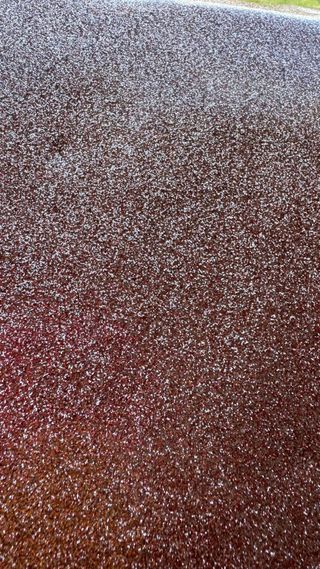 Funda portátil Mosiso rosa brillante