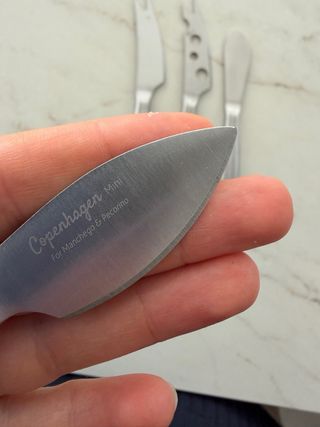 Set 4 coltelli per formaggio in acciaio inossidabile Boska